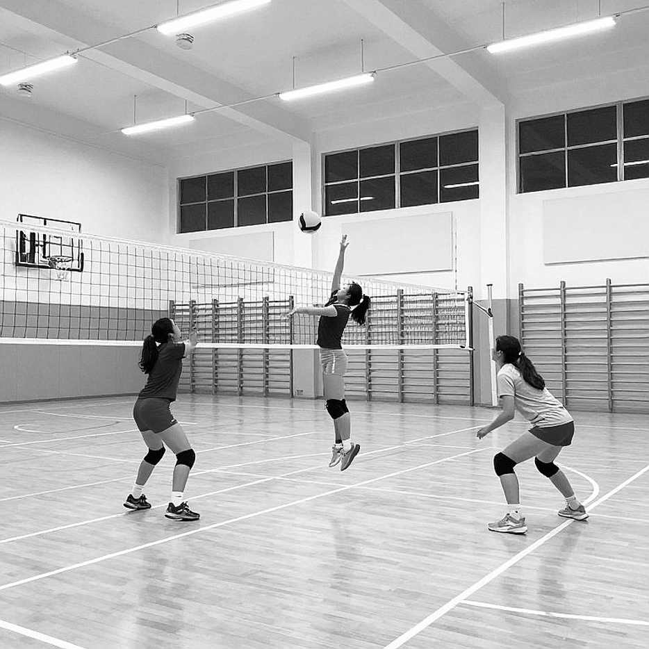 Ai Cập giành huy chương vàng bóng chuyền nữ châu Phi, lần đầu dự Olympic 2028