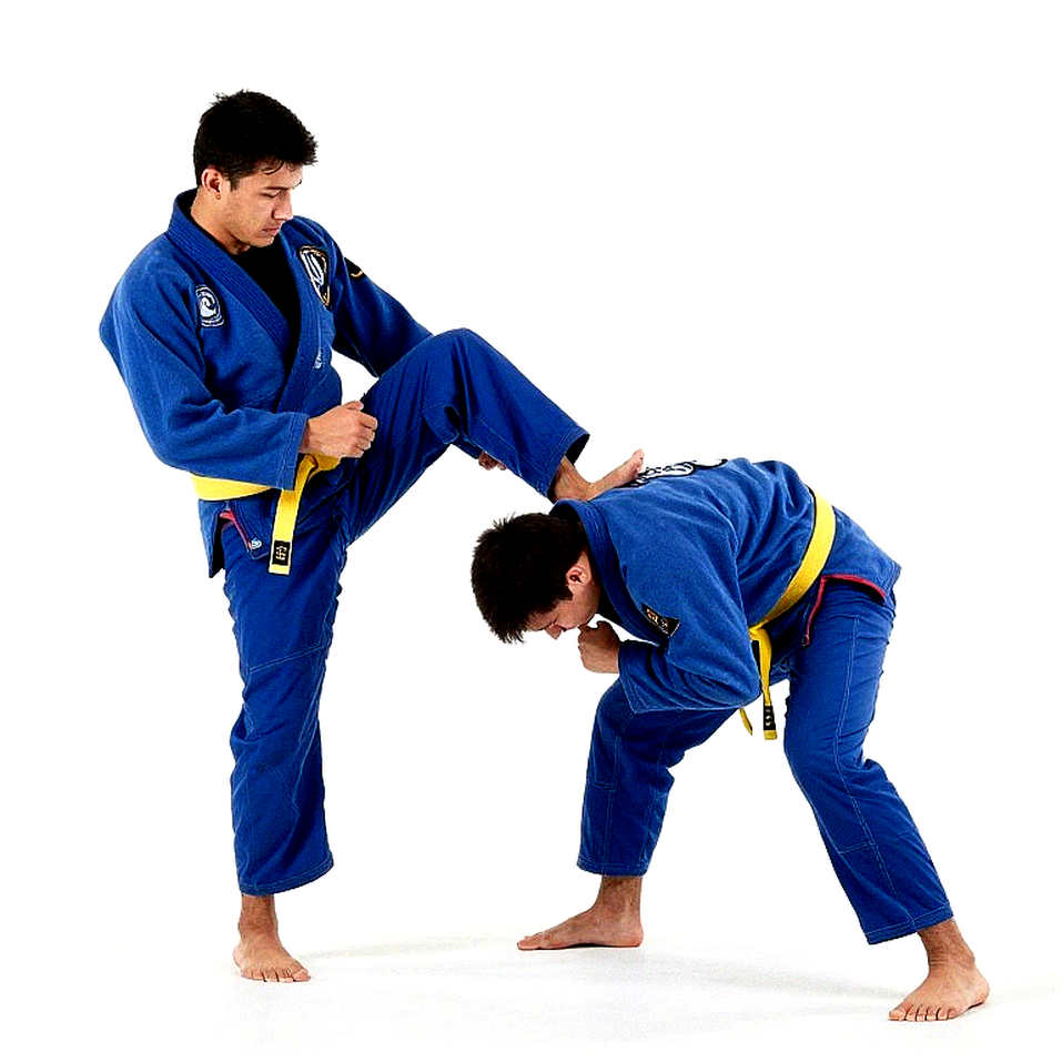 VR Taekwondo và nhánh hỗn hợp: nữ võ sĩ Việt Nam và tấm huy chương được đo bằng mili giây